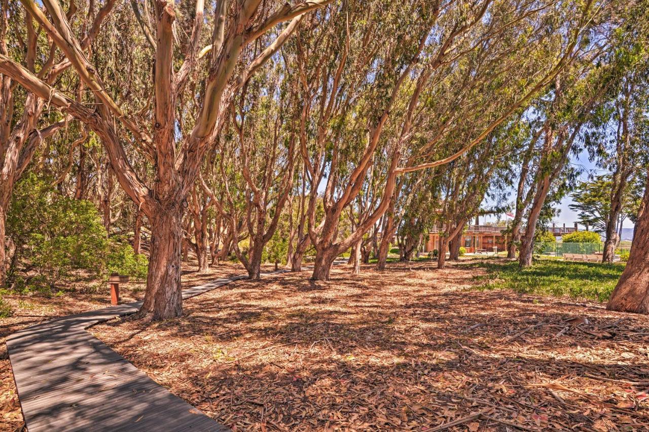 Beachfront Condo With Monterey Bay Views! Watsonville Exterior foto